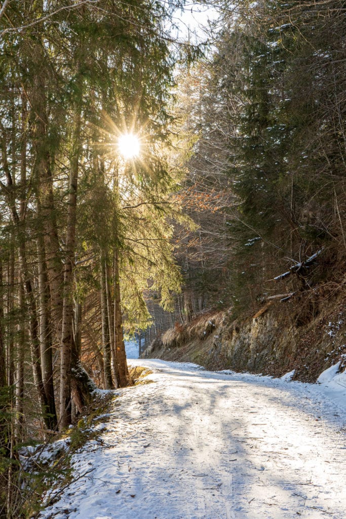Spazierwege am Barmsee