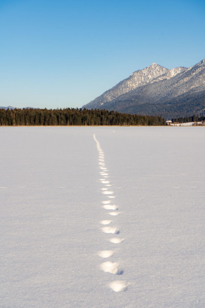 Fußspuren auf dem zugefrorenen Barmsee