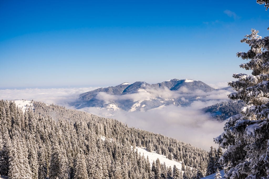 Blick Richtung Hörnle vom Pürschling