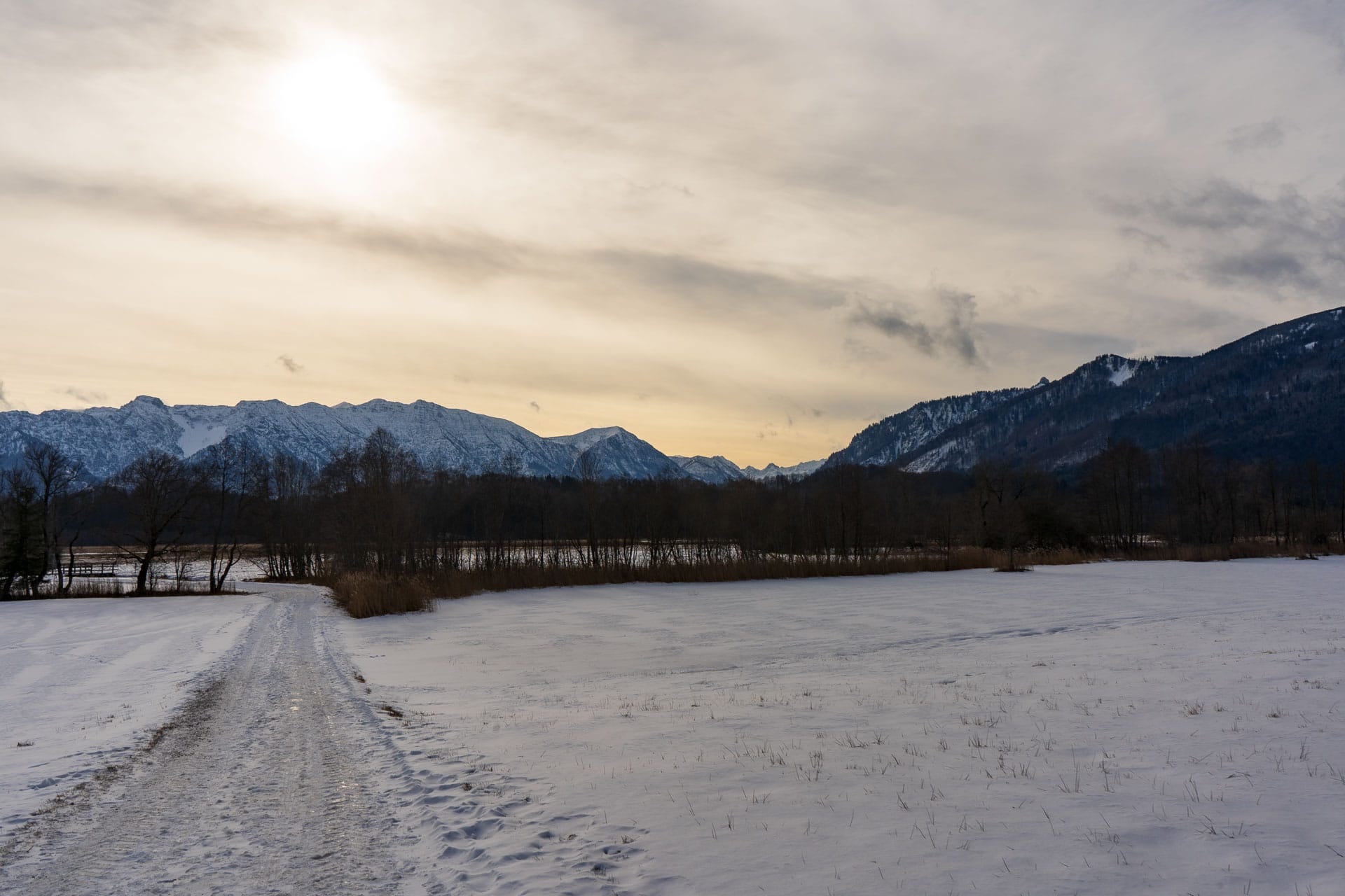 Murnauer Moos im Schnee