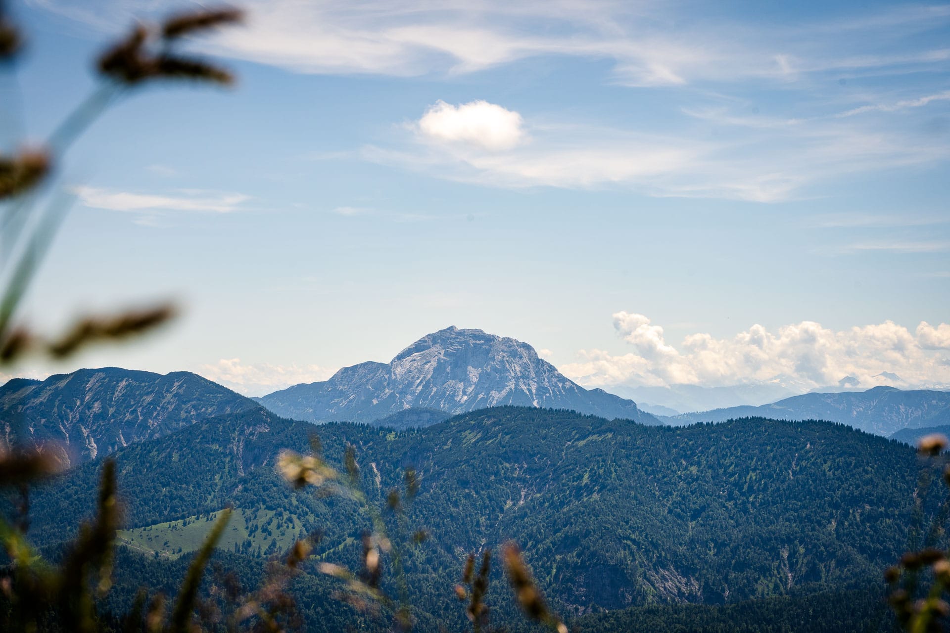 Blick vom Schönberg