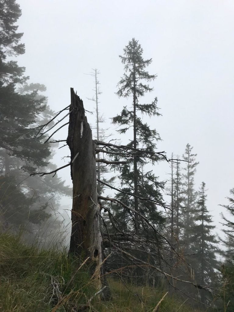 Mystische Stimmung am Osterfeuerberg