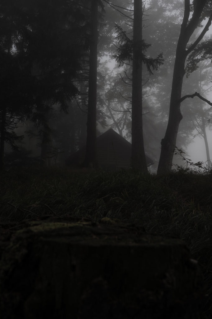 Hütte im Wald am Osterfeuerberg