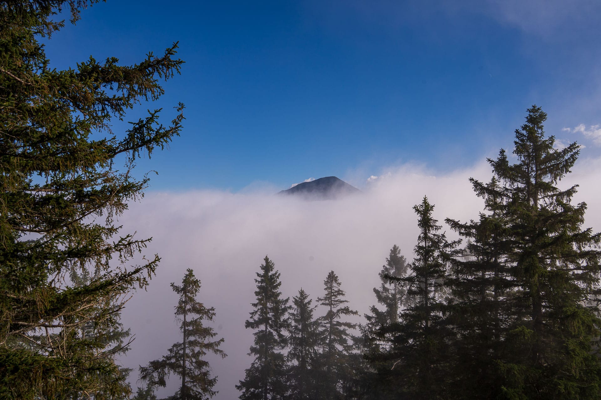 Blick auf den Hirschberg vom Osterfeuerköpfl